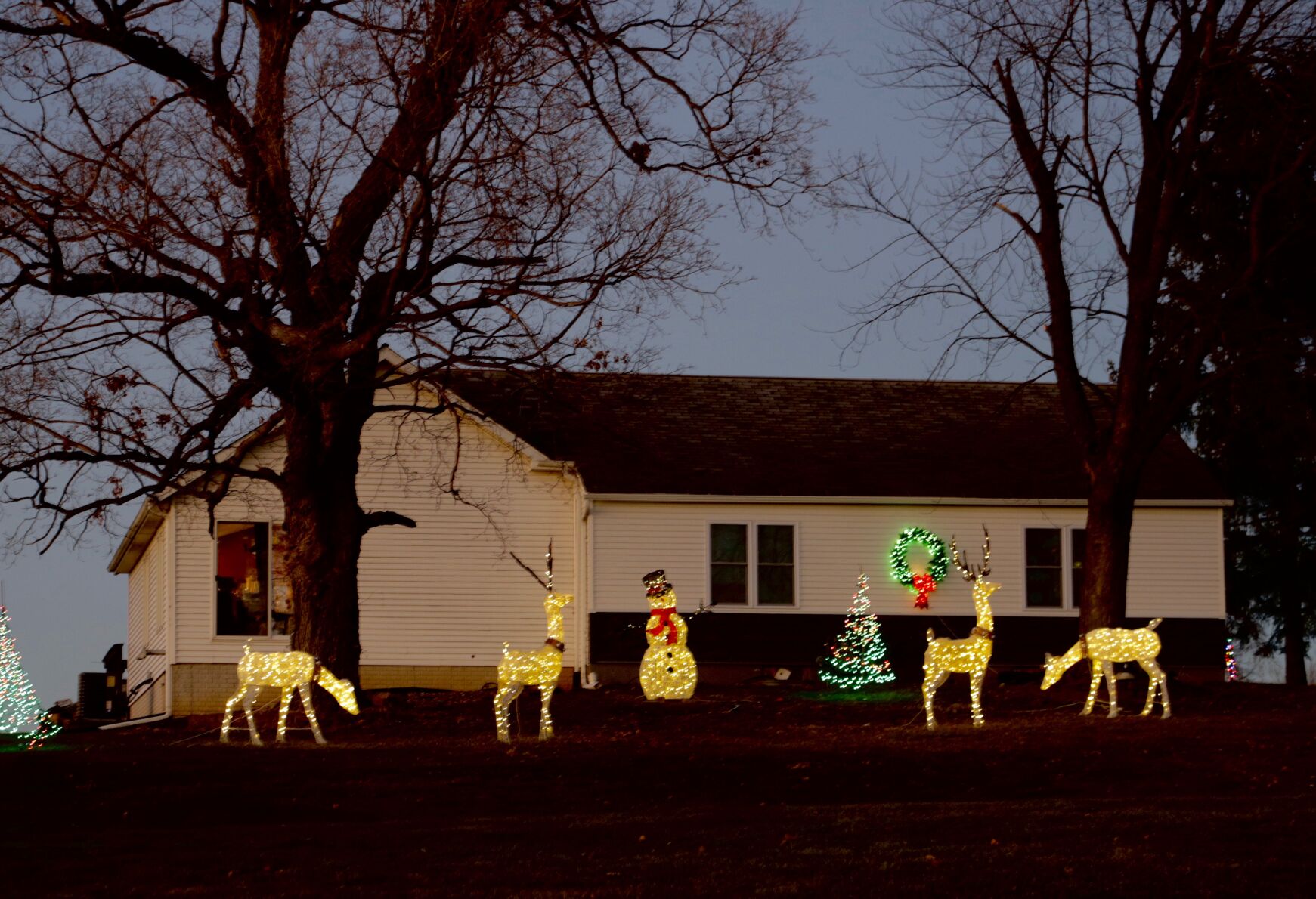 1546 Main Ave.